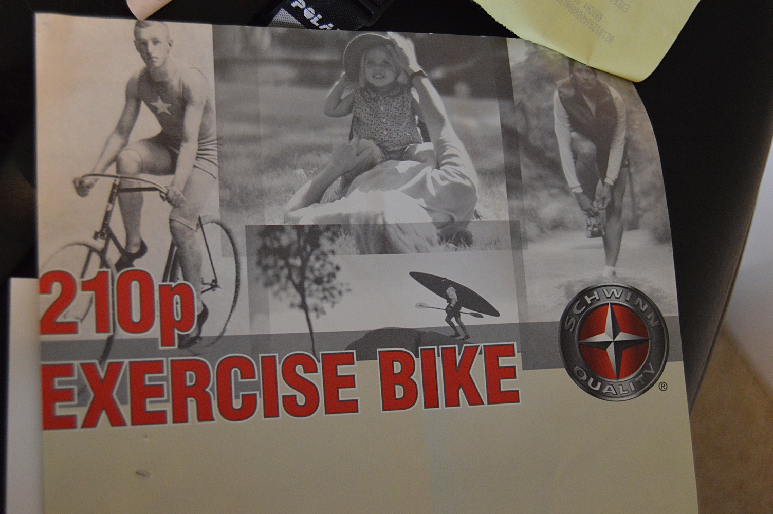 Schwinn 210P Exercise Bike