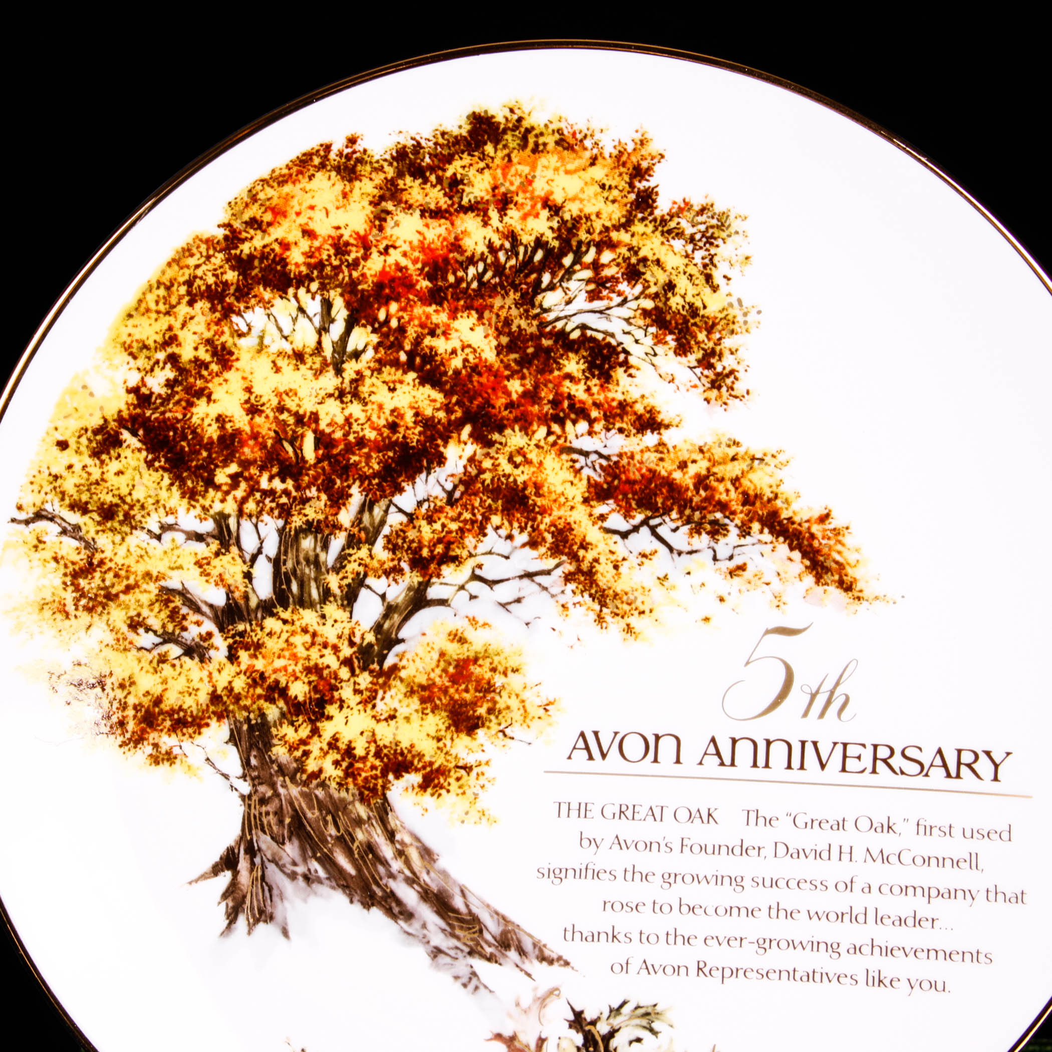 Avon Commemorative Plates