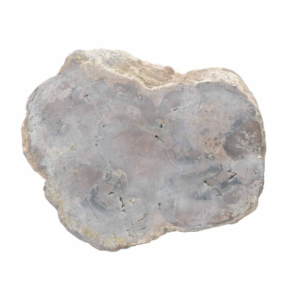 Eight Pound Rough Agate Stone