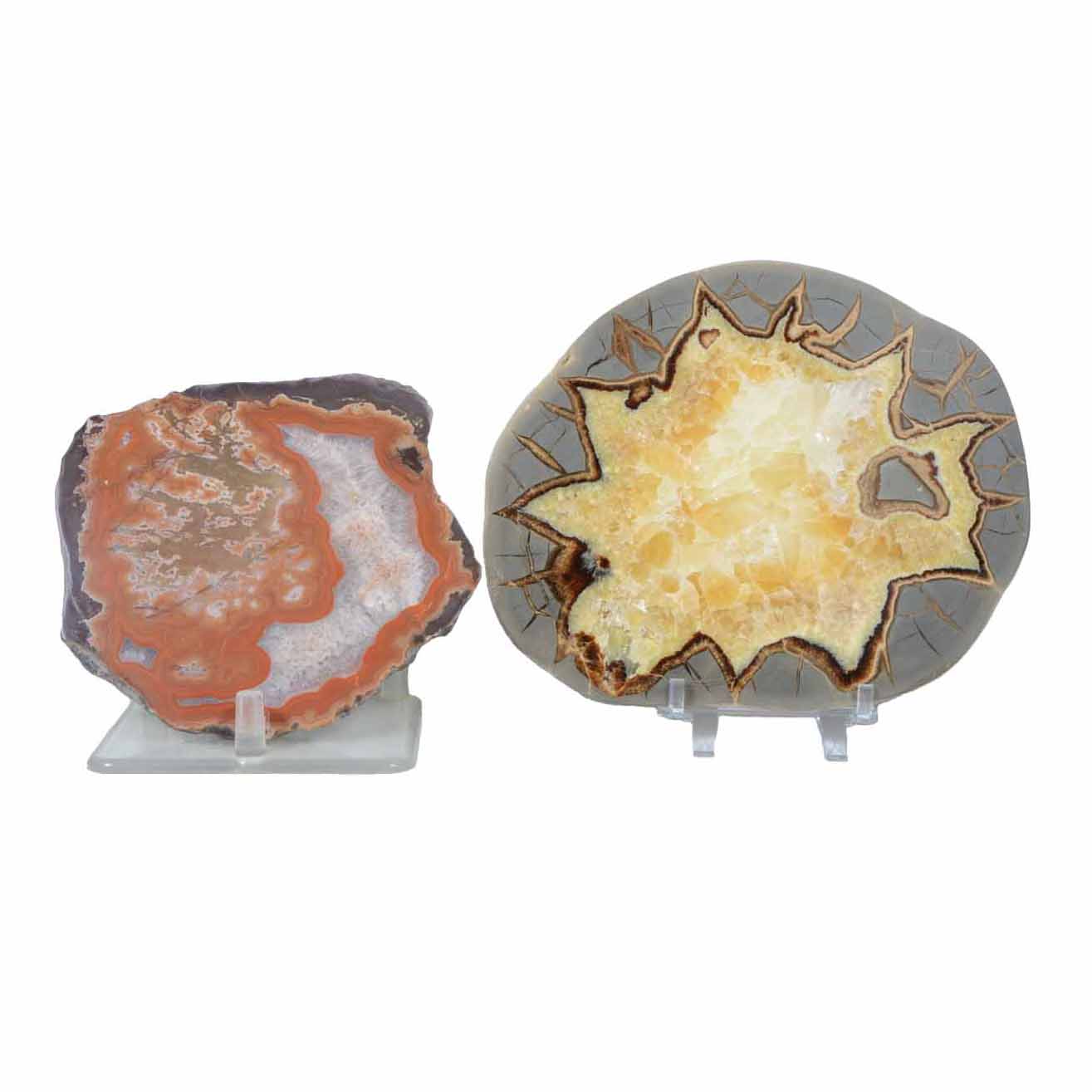 Polished Septarian Dragon Stone and Agate Stone