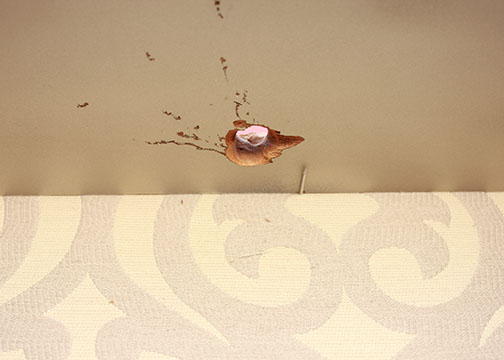 Chippendale-Inspired Display Hutch