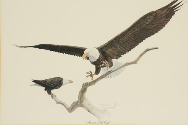 Tom Dunnington Print "American Bald Eagle"