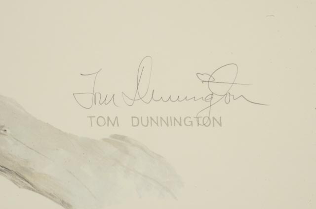 Tom Dunnington Print "American Bald Eagle"