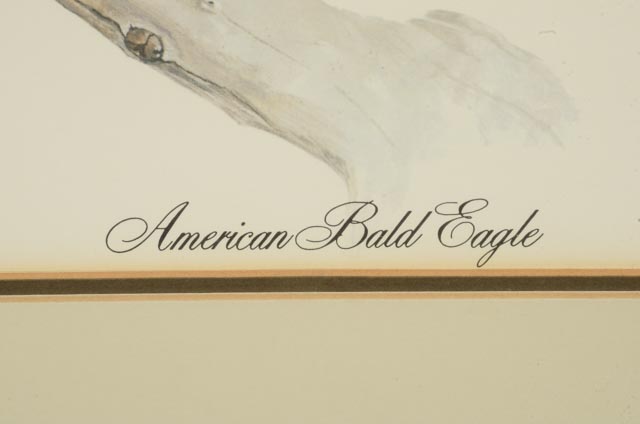 Tom Dunnington Print "American Bald Eagle"