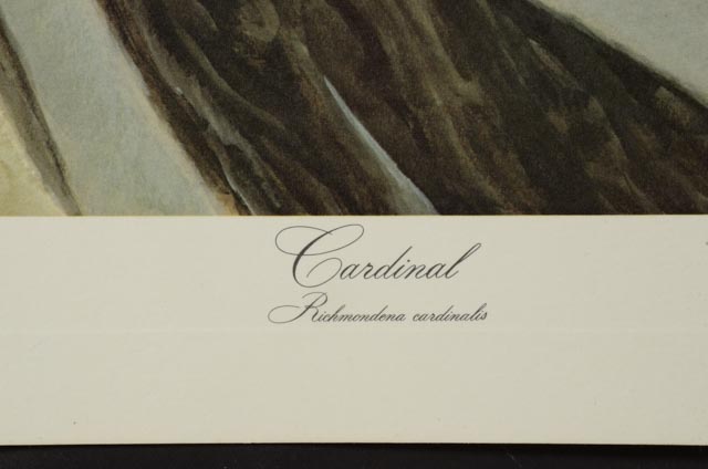 John Ruthven Print "Cardinal"