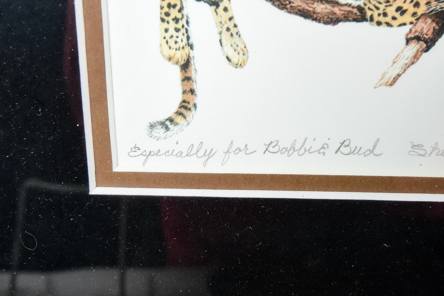 Collection of Framed African Art