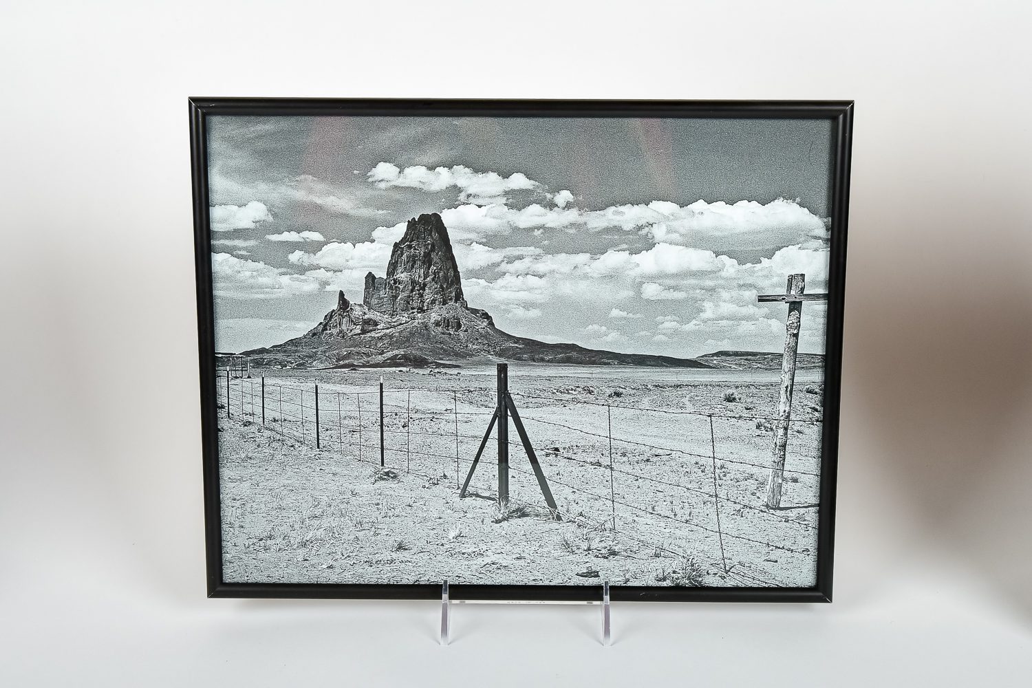 Collection of Photographic Prints