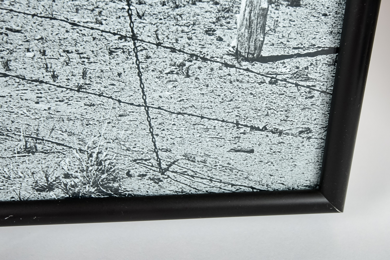 Collection of Photographic Prints