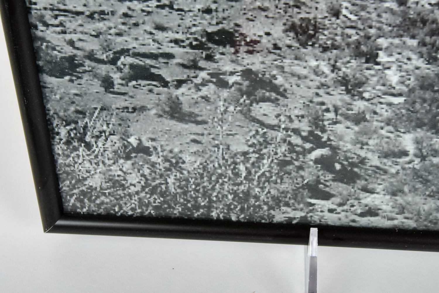 Collection of Photographic Prints