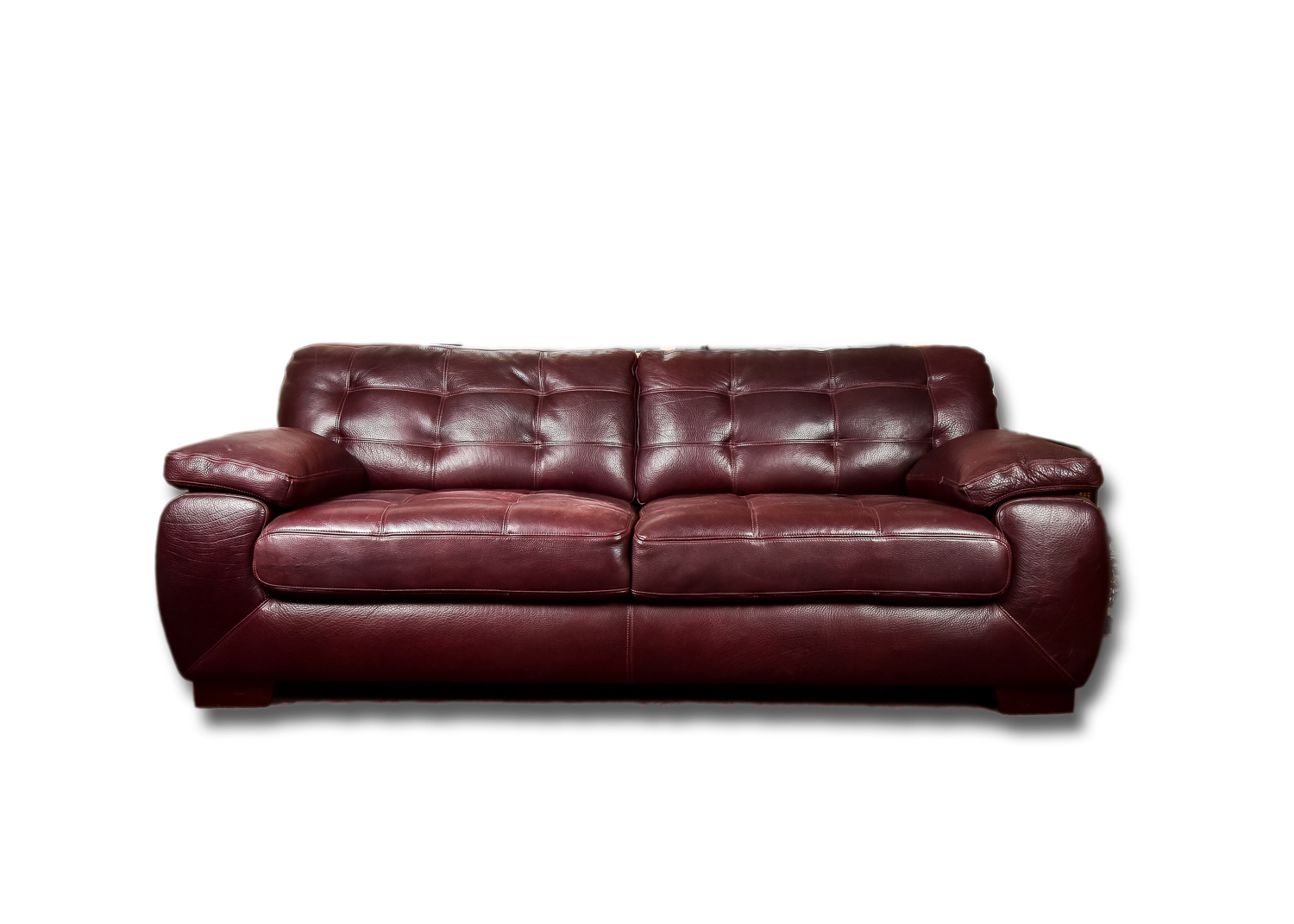 Plush Leather Sofa