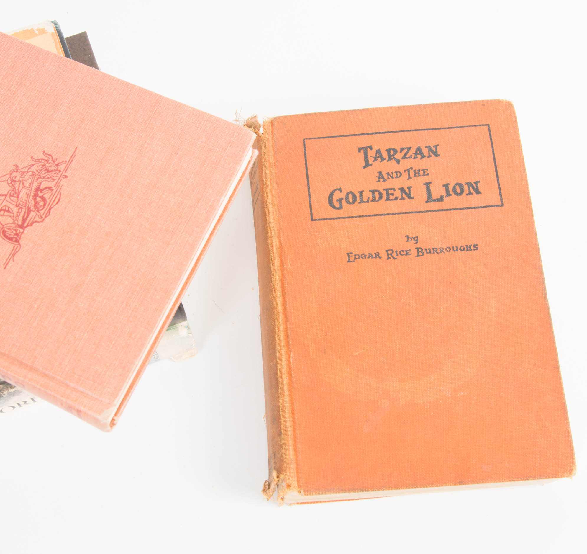 Collection of Classic Adventure and Mystery Books