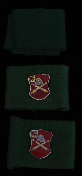 Group of Vietnam Era U.S. Military Insignia
