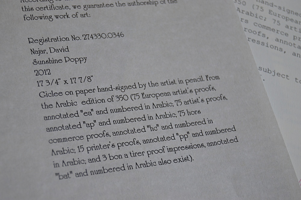 Numbered and Signed David Najar Giclee on Paper