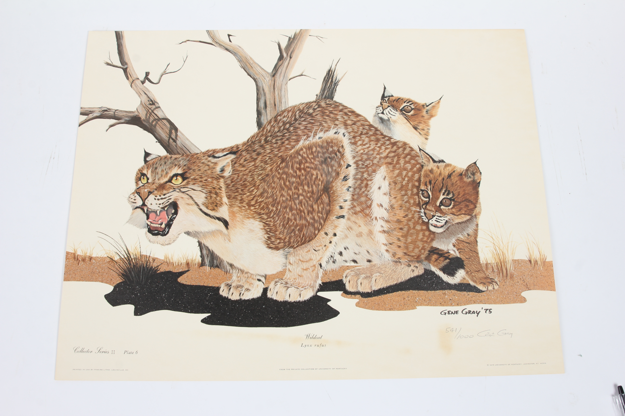 University of Kentucky and Pair of Wildcat Limited Edition Lithographs