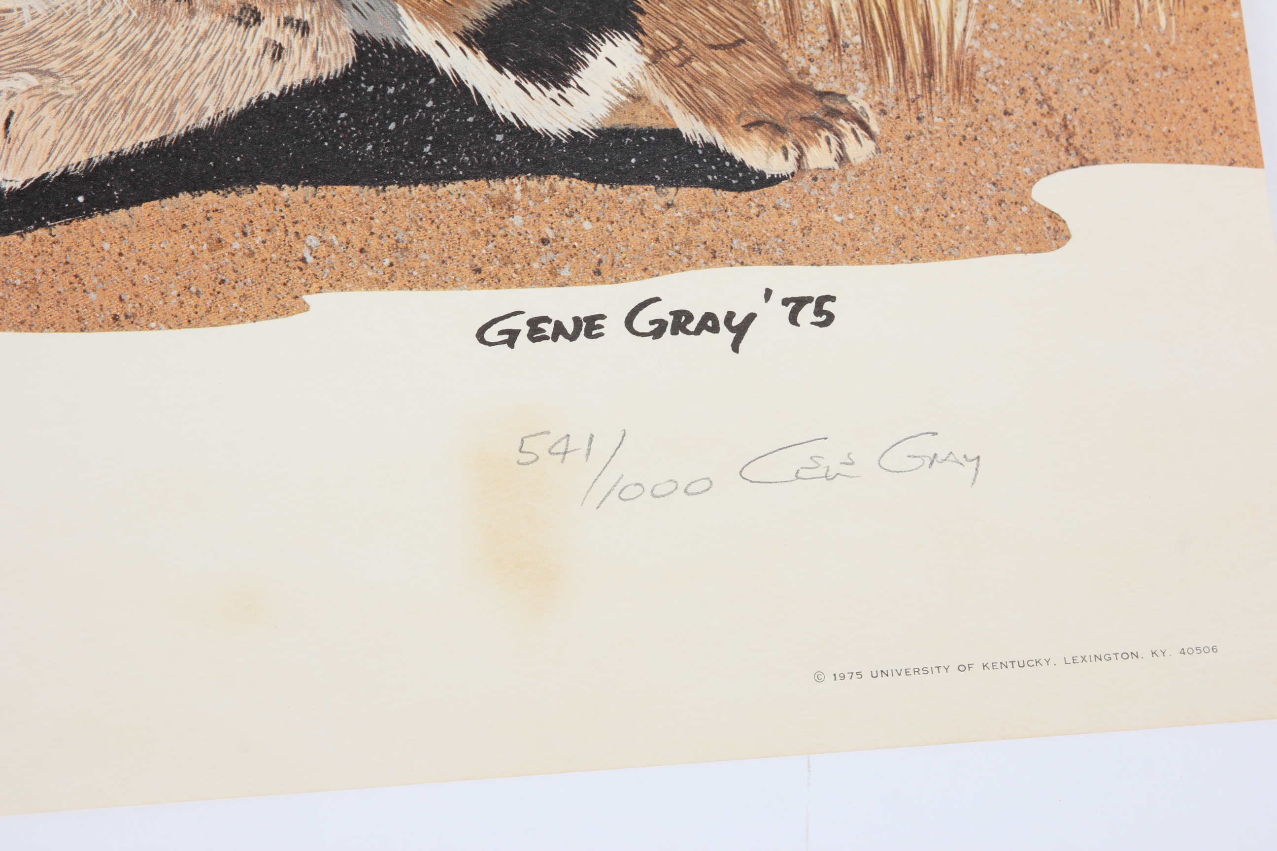 University of Kentucky and Pair of Wildcat Limited Edition Lithographs