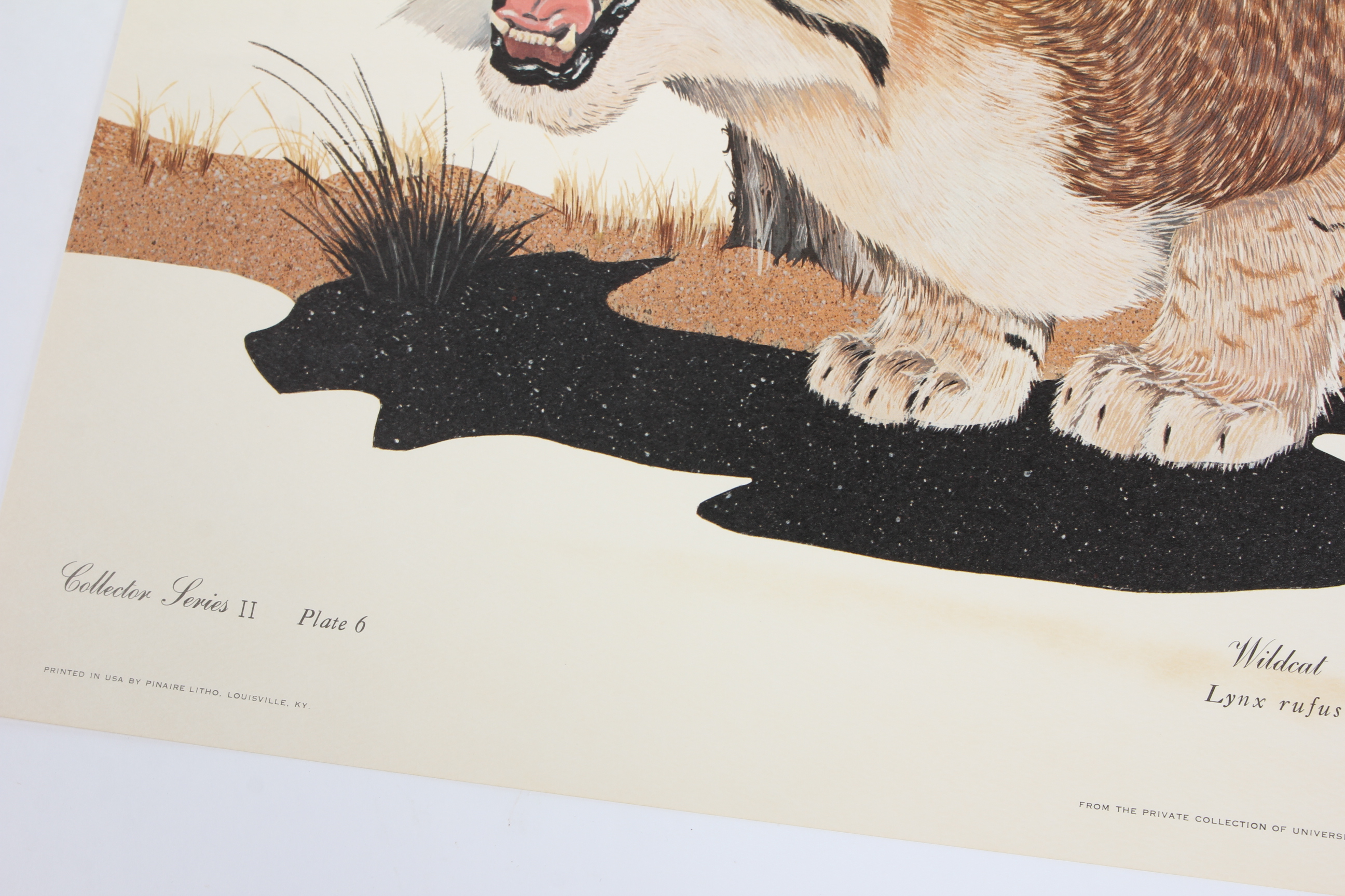 University of Kentucky and Pair of Wildcat Limited Edition Lithographs