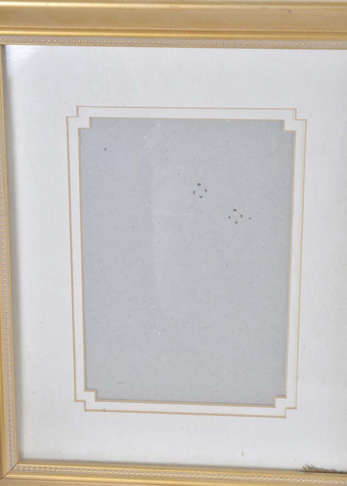 Collection of Gold Tone Picture Frames