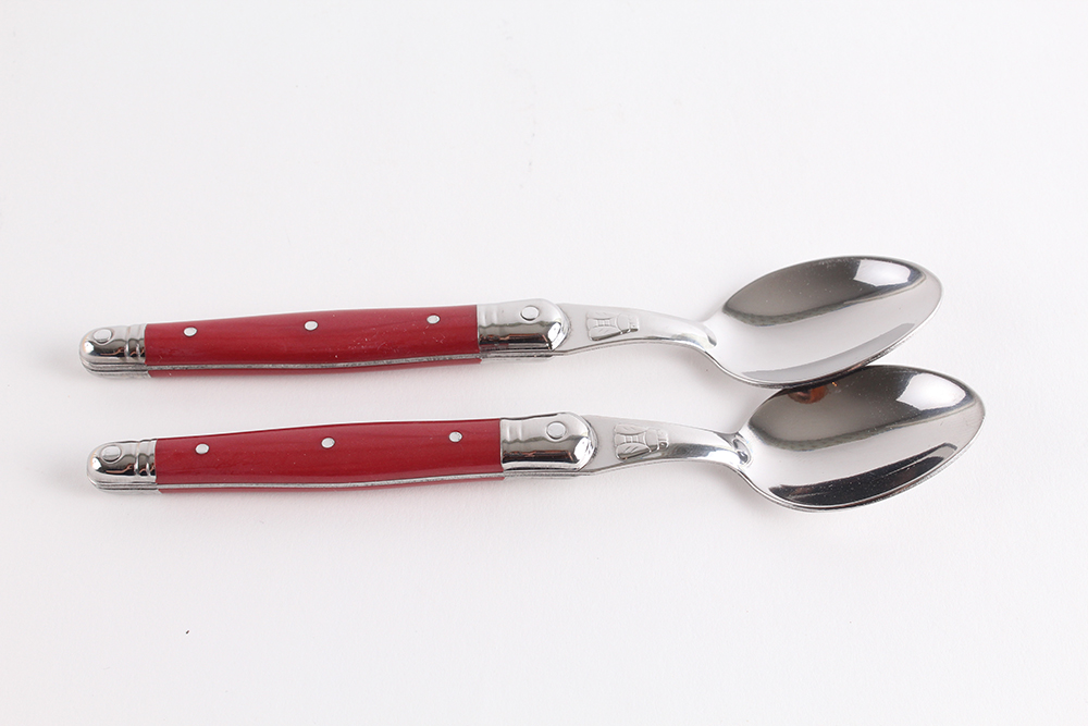 Laguiole Everyday Flatware Set with Red Acrylic Handles by Jean Dubost