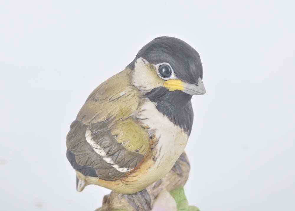 Baby Chickadee by Andrea