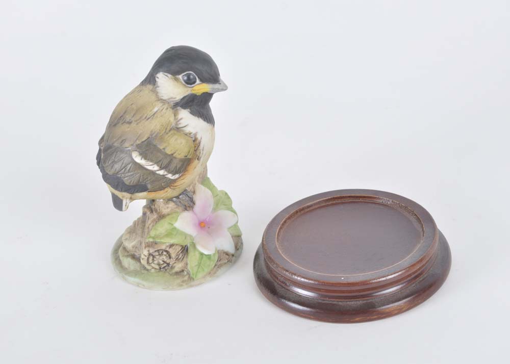 Baby Chickadee by Andrea