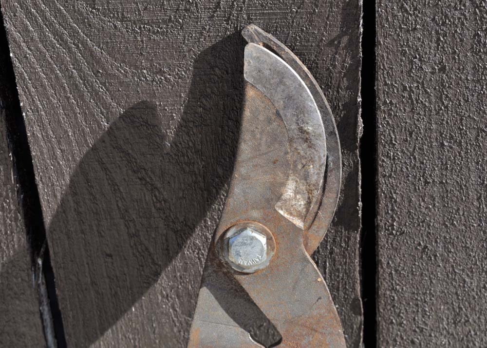 Quartet of Garden Tools