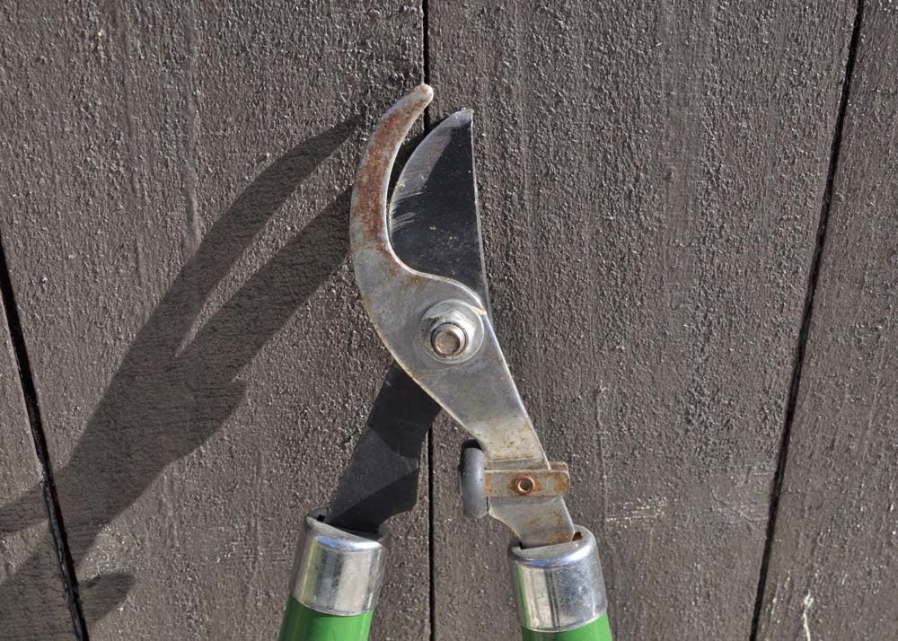 Quartet of Garden Tools