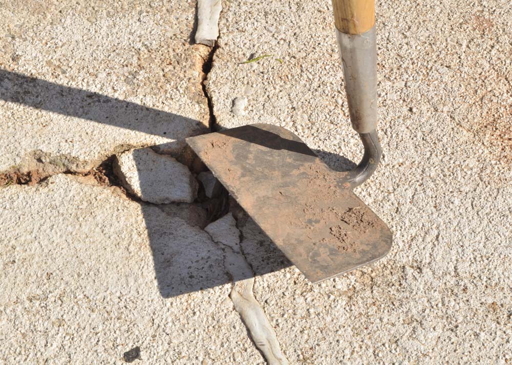 Quartet of Garden Tools