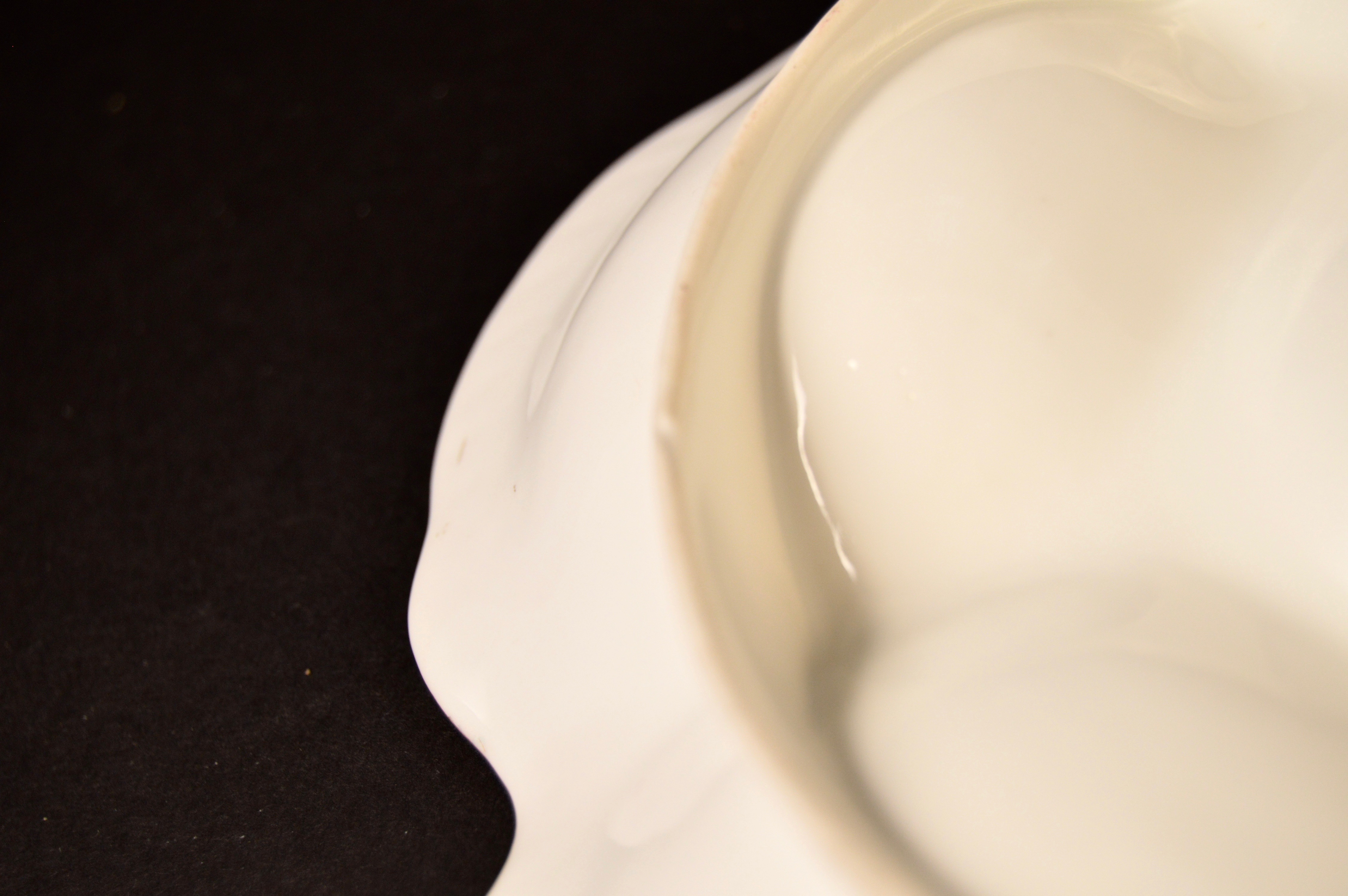 Set of 10 Haviland Limoges Oyster Plates