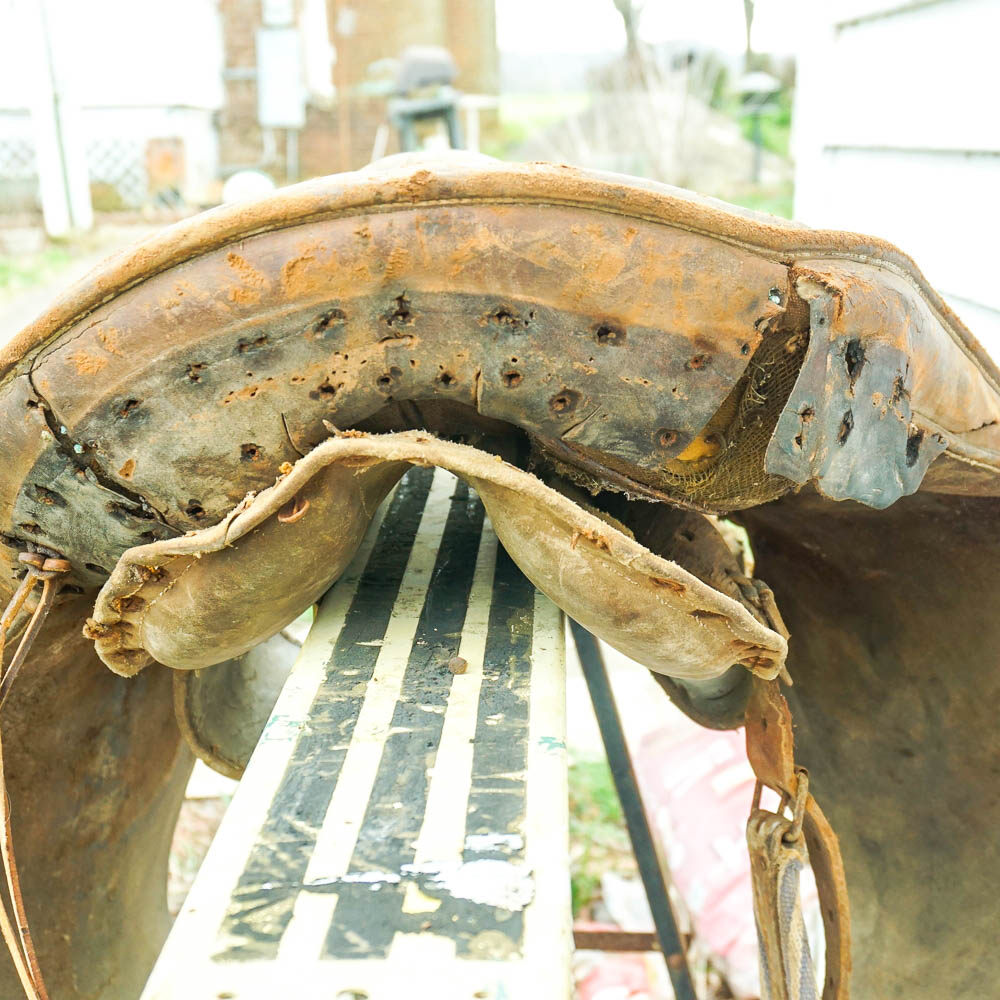 Leather Kentucky Roll Saddle