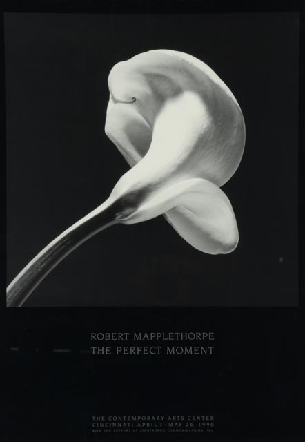 Robert Mapplethorpe "The Perfect Moment" Exhibition Poster