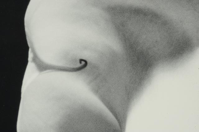 Robert Mapplethorpe "The Perfect Moment" Exhibition Poster