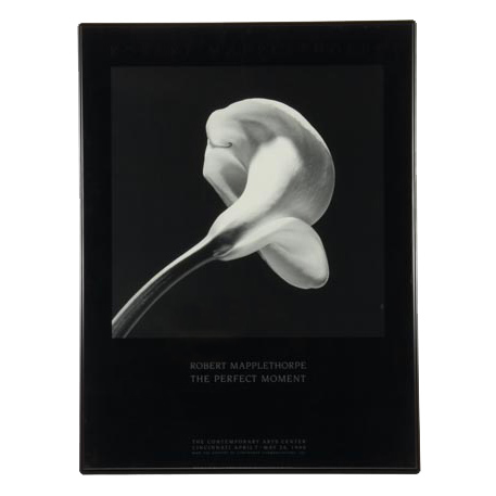 Robert Mapplethorpe "The Perfect Moment" Exhibition Poster