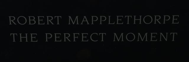 Robert Mapplethorpe "The Perfect Moment" Exhibition Poster