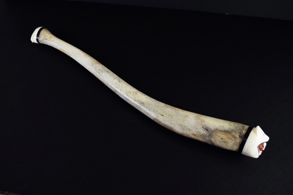 Fossilized Walrus Oosik with Carved Caps