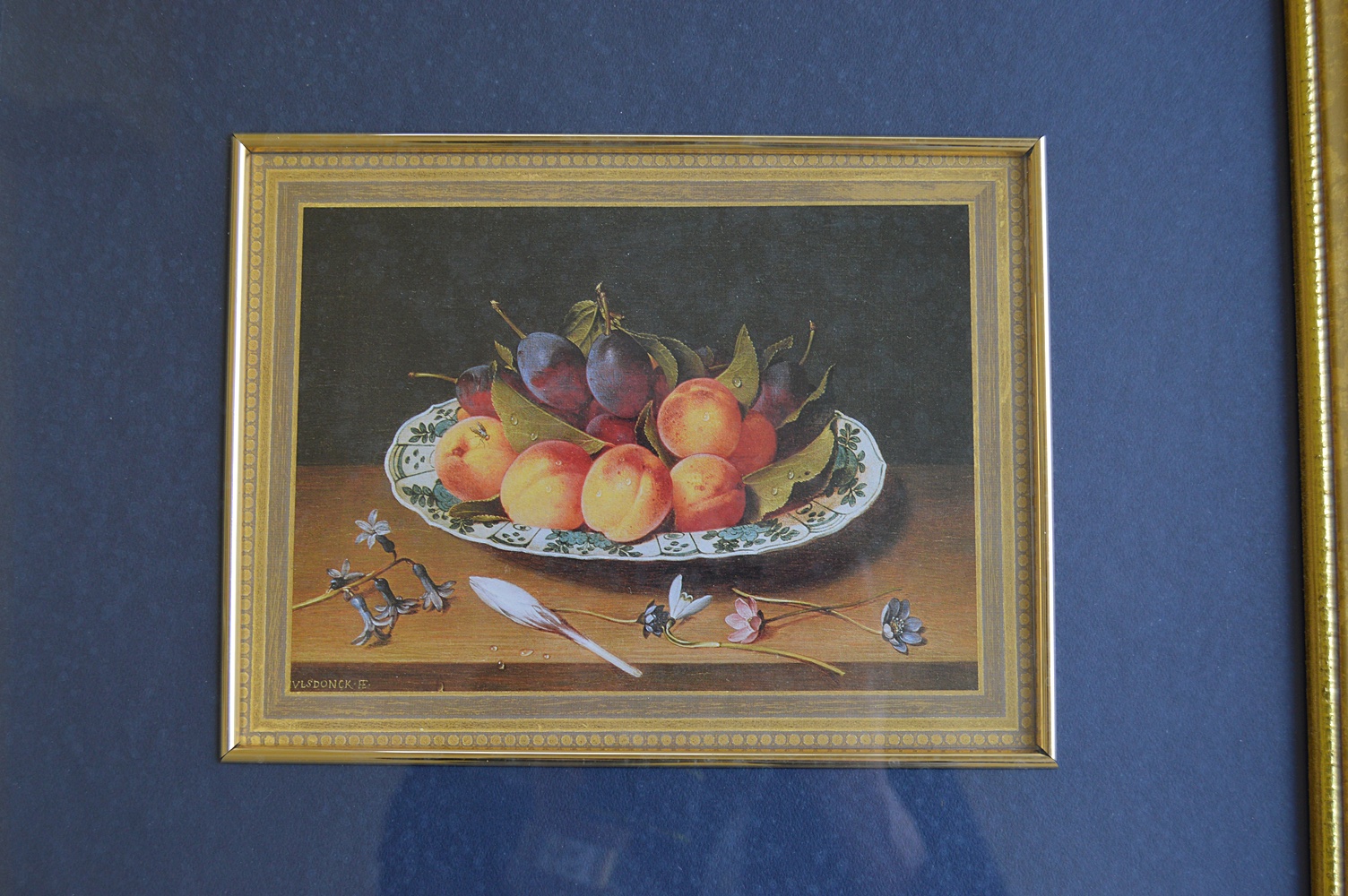 Framed Floral and Nature Themed Prints