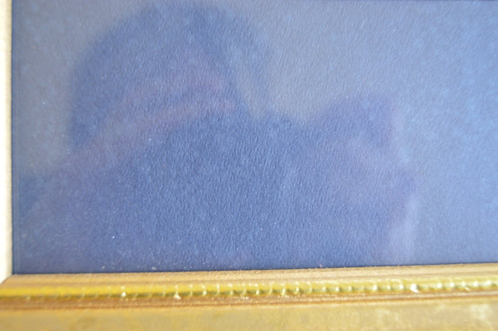 Framed Floral and Nature Themed Prints