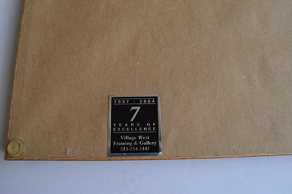 Framed Floral and Nature Themed Prints