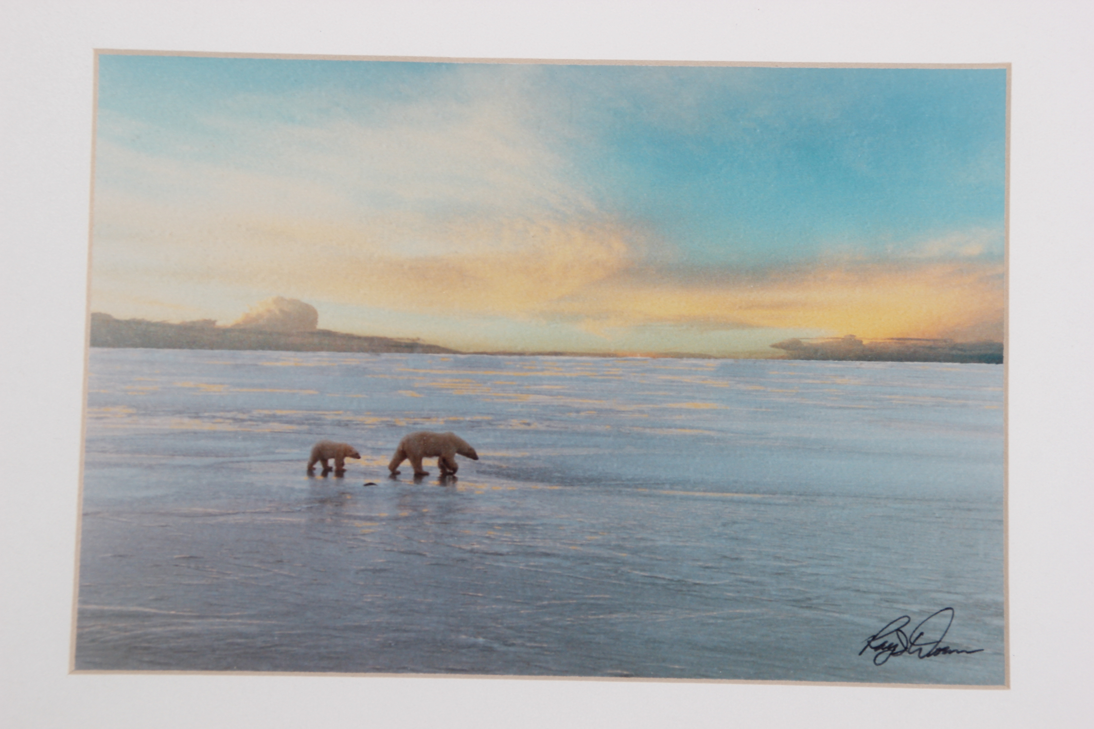 Ray I. Doan 'Polar Bears on the Ice of Hudson Bay...' Photograph