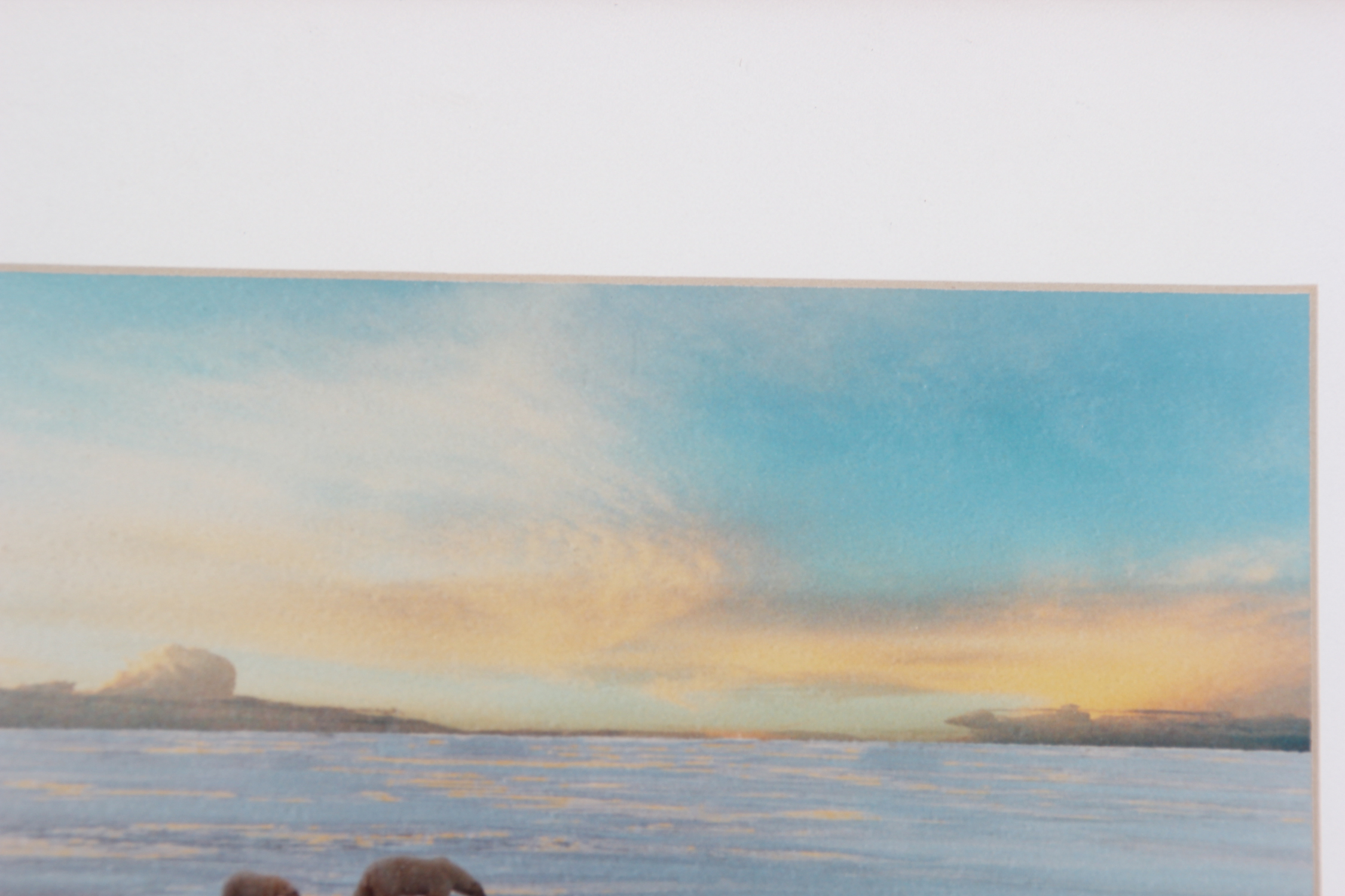 Ray I. Doan 'Polar Bears on the Ice of Hudson Bay...' Photograph