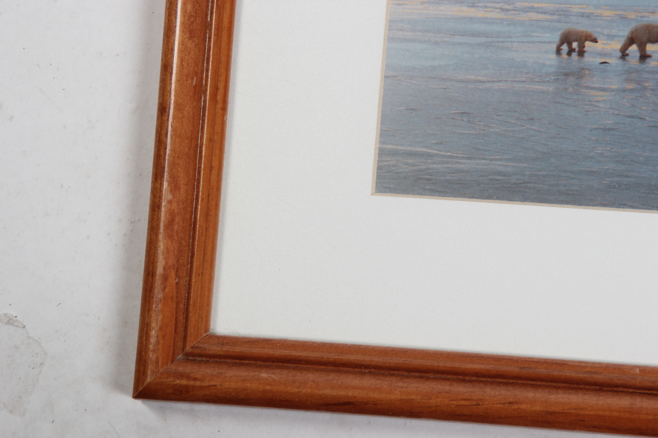 Ray I. Doan 'Polar Bears on the Ice of Hudson Bay...' Photograph