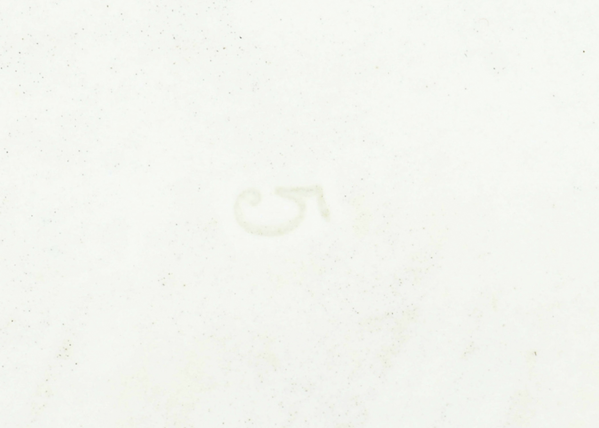 Hand Painted Japanese Platter