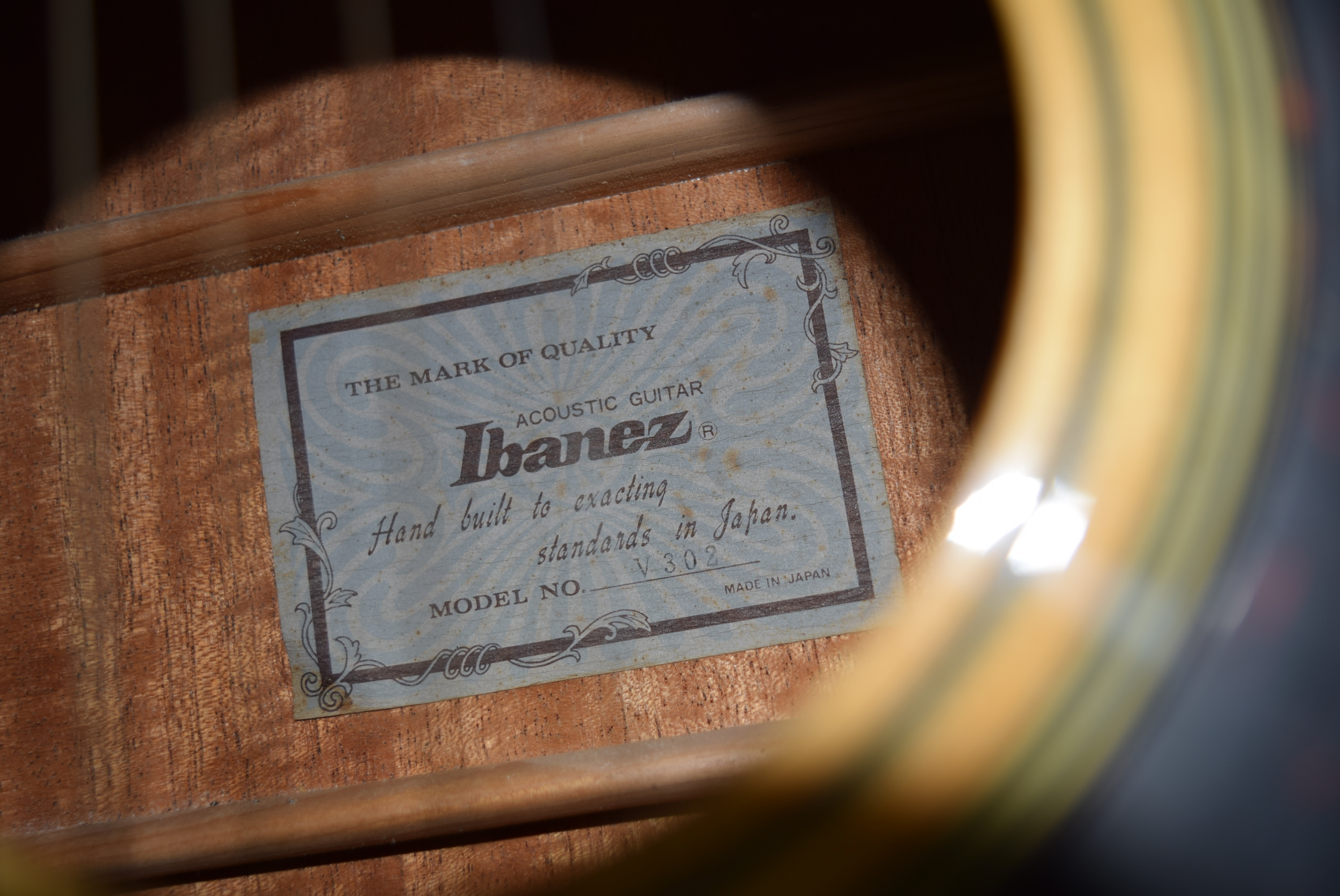 Ibanez Twelve String Acoustic Guitar and Pickup