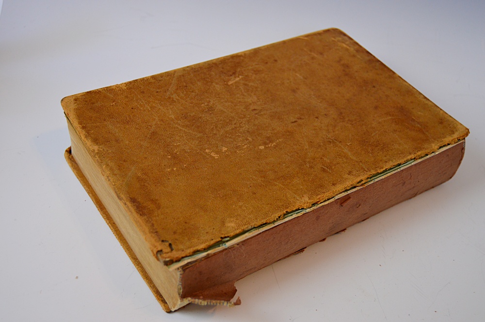 Antique 1883 Volume of "Pioneer Heroes and Heroines"