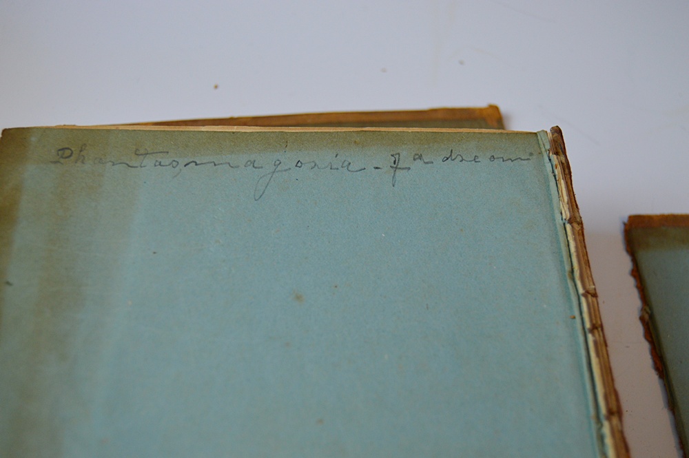 Antique 1883 Volume of "Pioneer Heroes and Heroines"