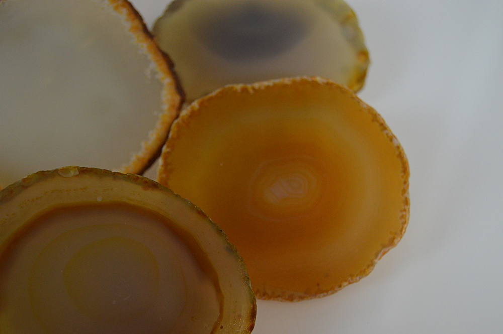 Collection of Polished Agate Slices