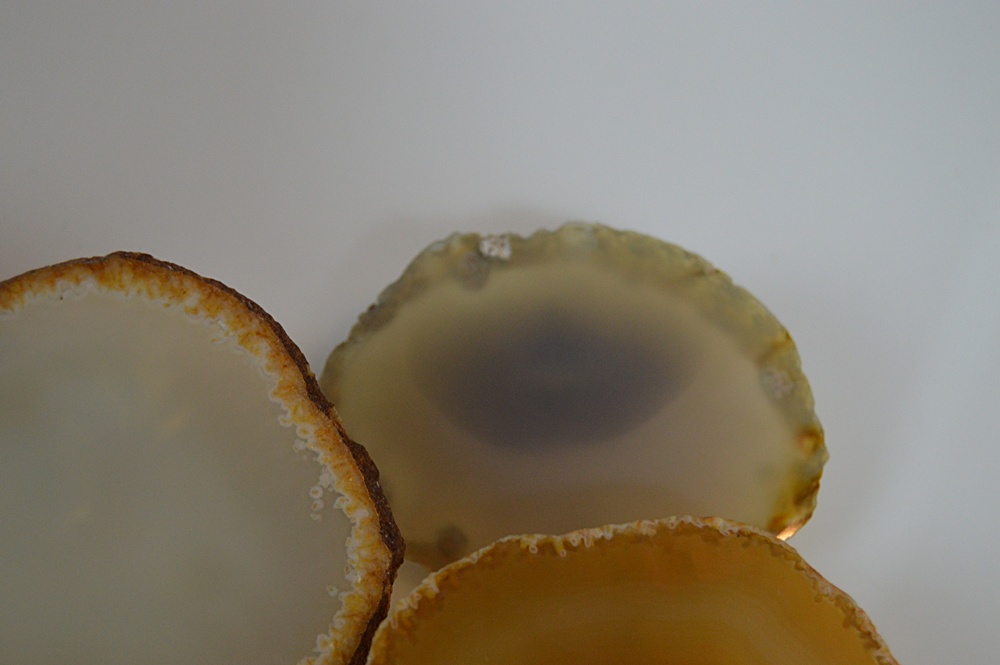 Collection of Polished Agate Slices