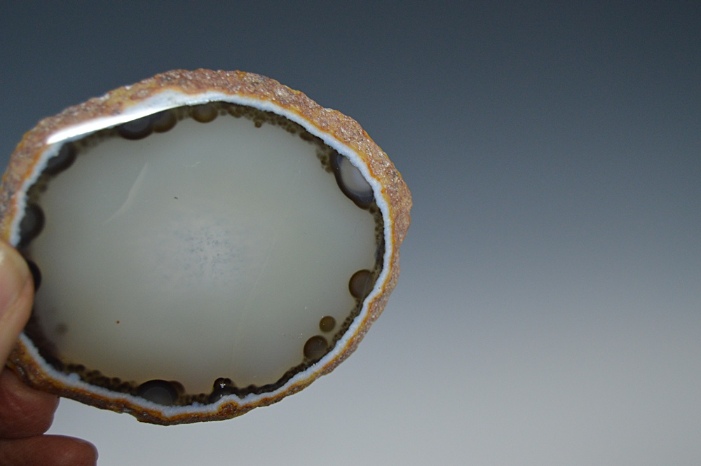 Collection of Polished Agate Slices