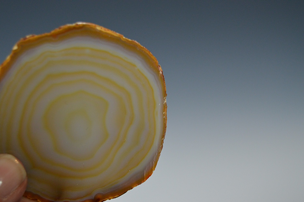 Collection of Polished Agate Slices