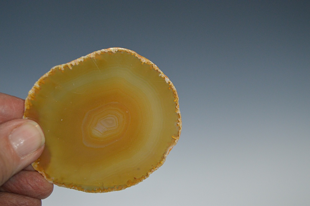 Collection of Polished Agate Slices