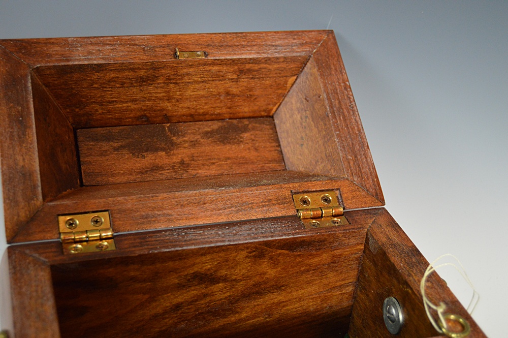 Chippendale Style Mahogany Tea Caddy